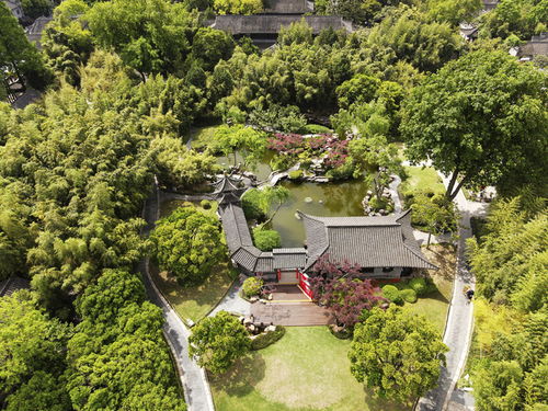 活化古典園林，賦能‘最江南’——探訪江蘇省文化和旅游重點實驗室園林