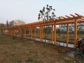 武威園林景觀產品推薦——甘肅高質量仿木葡萄架供應