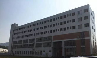 園林式食品廠房出租 番禺鐘村16000平方標準廠房，融合綠色生態與產業功能