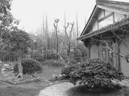 方寸苗圃，匠心筑夢 在有限空間里打造精品園林的藝術