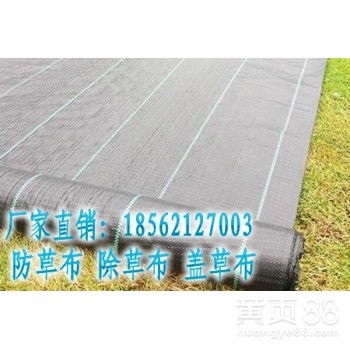 園林除草布 高效防草解決方案與市場(chǎng)趨勢(shì)探析